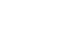 Sophies Souldogs